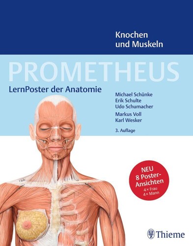 Erik schulte prometheus - ~,