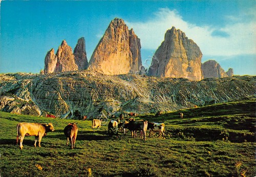Cartolina tre cime lavaredo - tre,