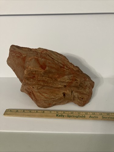 Terrari pietra per anfibi - ,
