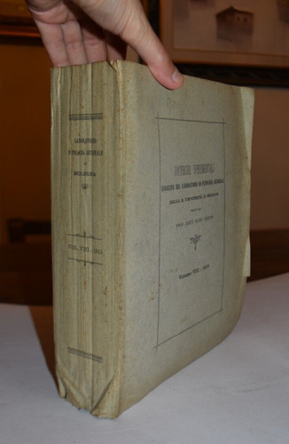 Pellagra fig 800 - -, 800-