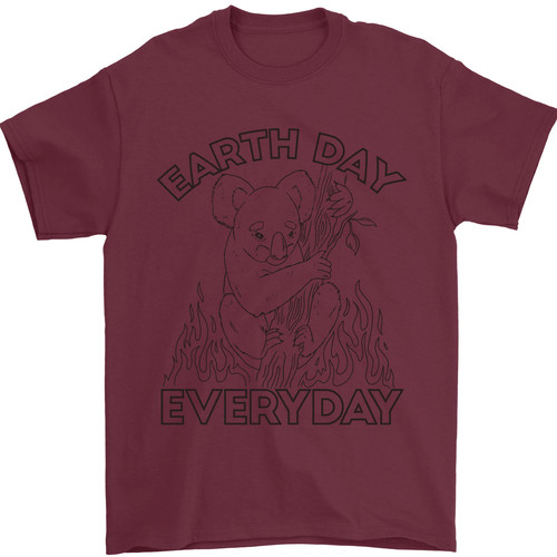 Koala terra giorno - terra,