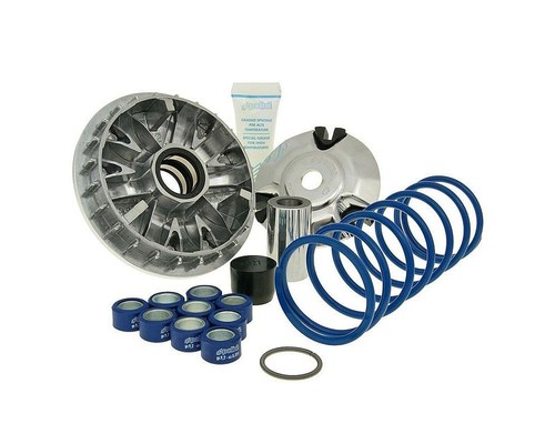 Variatore polini maxi speed - variatore, hi-speed