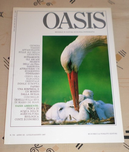 Rivista oasis 8 - rivista, 7/8