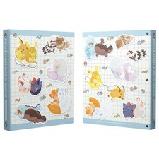 Pokemon Card Game Collection