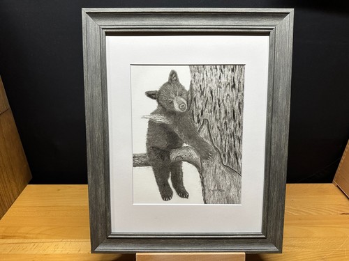 Disegno orso nero - disegno, di