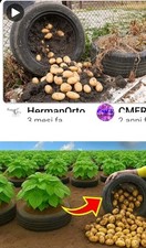 Pneumatici Da Giardino