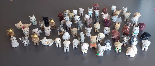 Cuccioli cerca amici lotto - lotto, 65