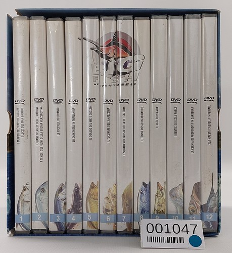 Ebond big fish - ebond, adventures