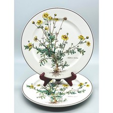 Villeroy Boch Piatto Botanica