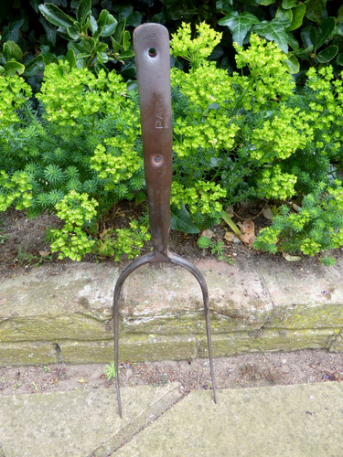 Vintage pitch fork 2 - pitch, prong