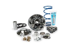 Variatore polini speed evo - variatore,
