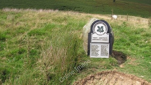 Photo 6x4 abergwesyn - photo, common