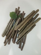 Legno di nocciola fresca 1 kg