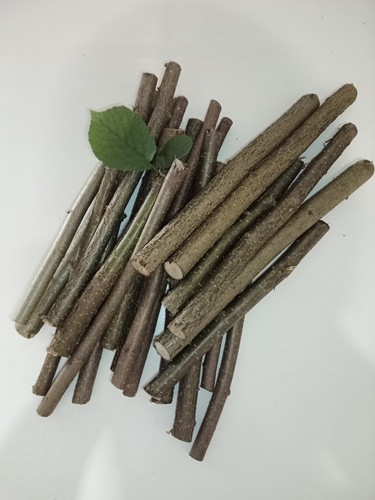 Nocciola fresca legno - nocciola,