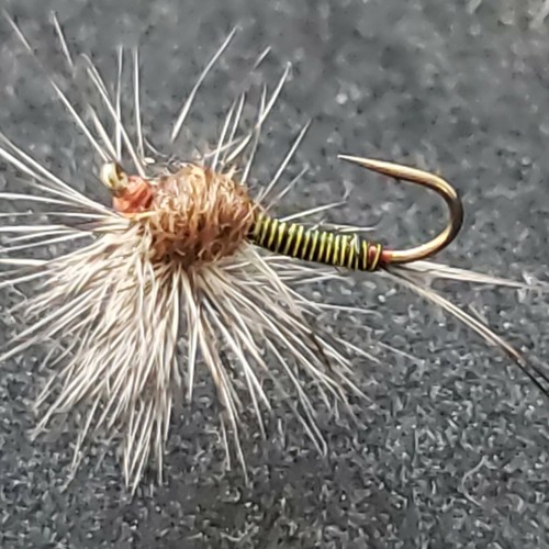 Trota dry fly 16 hackle - trota, #