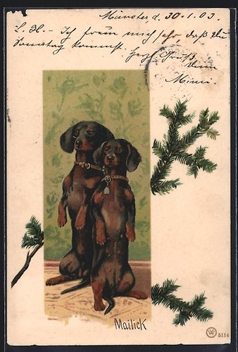 Cartolina artista alfred - cartolina, d'artista