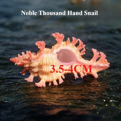 4cm noble thousand handed - noble, thousand-handed