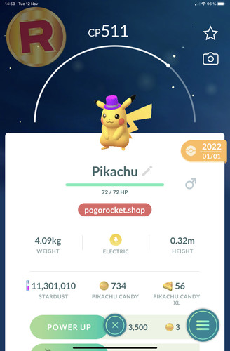 Pikachu purple hat costume - purple,