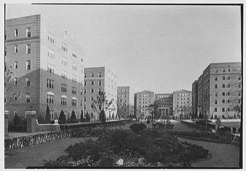 Forest hills south - forest,