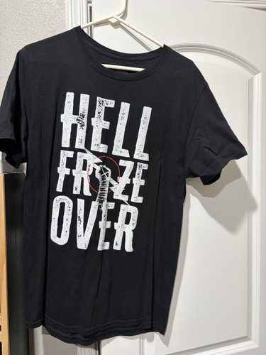 Wwe punk hell froze over - wwe, cm
