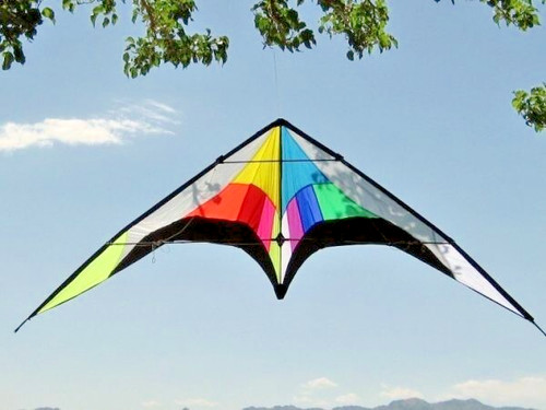 Stunt kite dual - kite, line