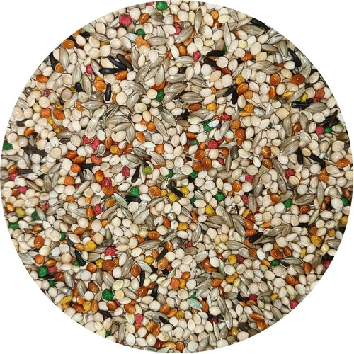 Uccello finch super breeder - uccello,