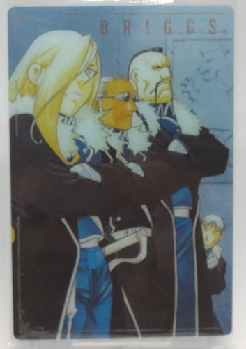 Briggs fullmetal alchemist - briggs,