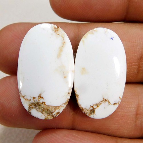 00cts cavallo selvatico - cavallo,