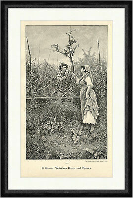 Zonaro tra rose e - tra,