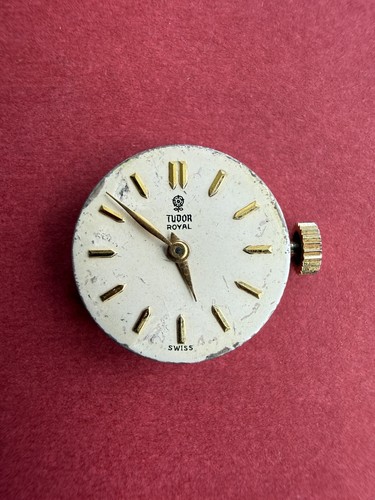 Orologio tudor royal movimento - orologio,