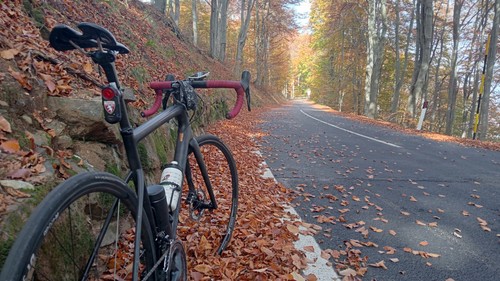Bici corsa carbonio - da, in