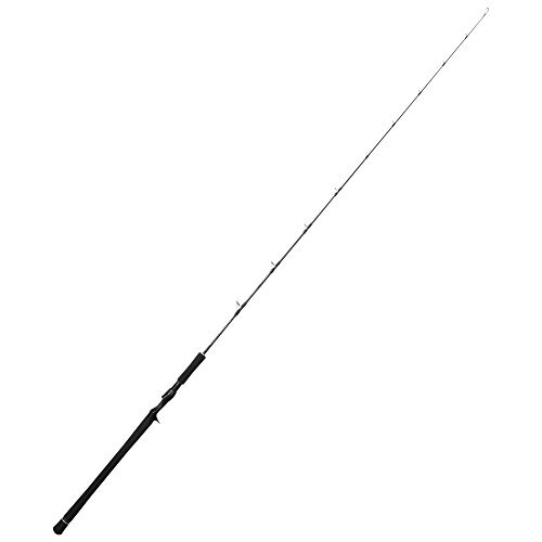 Major craft baitcasting rod - major,