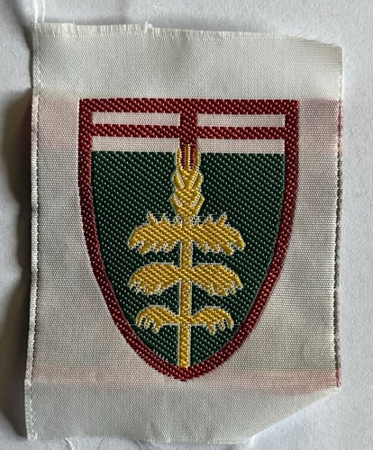 Scout agesci distintivo - scout,
