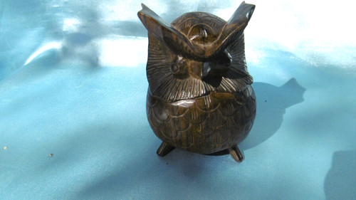 Hardwood owl - hardwood,
