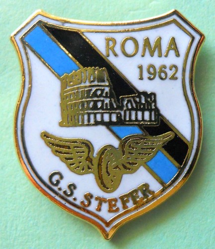 Distintivo spilla pin - distintivo, badge