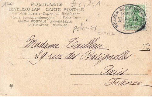 Cane 25151 pechinese cigogna - #25151,