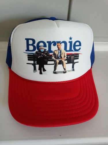Bernie sanders seduto guanti - sanders,