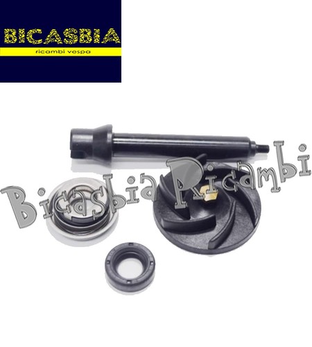 21482 kit revisione - revisione, pompa