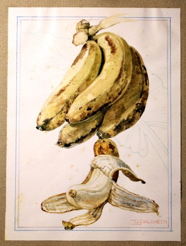 Ugo palchetti original - palchetti, |