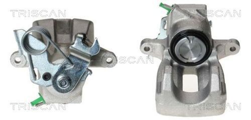 Pinza freno triscan 8170 - freno,