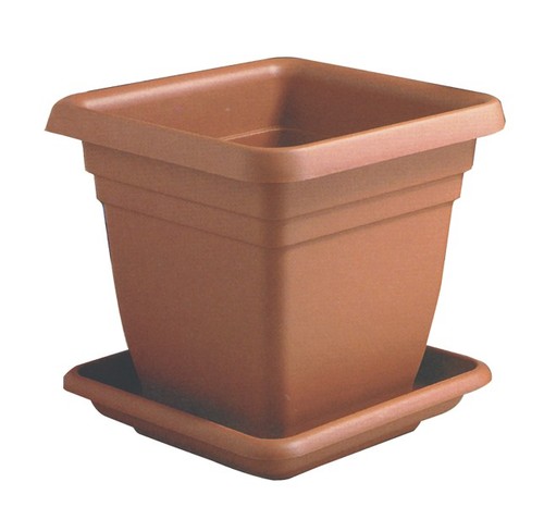 Vaso quadro con - , sottovaso
