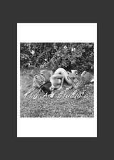 Foto d’Autore * Famous Sexy