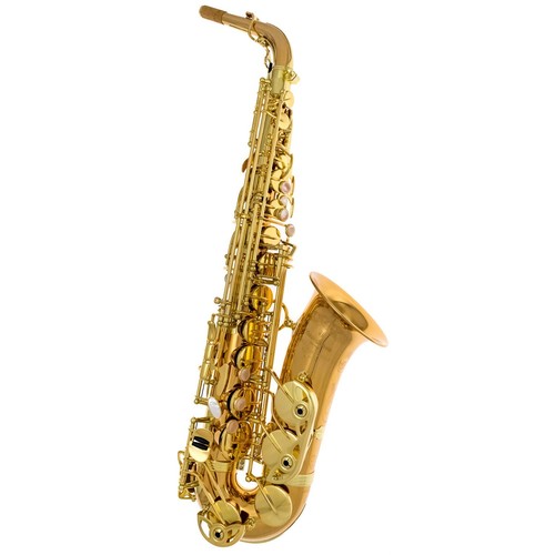 Sax alto yanagisawa wo20 - sax,