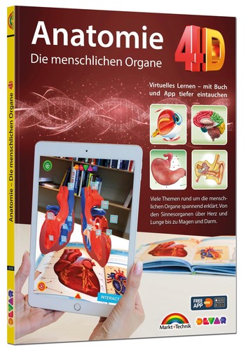 David haberkamp anatomie - david,