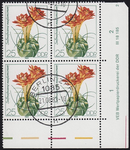 2805 cactus blocco - pf.,