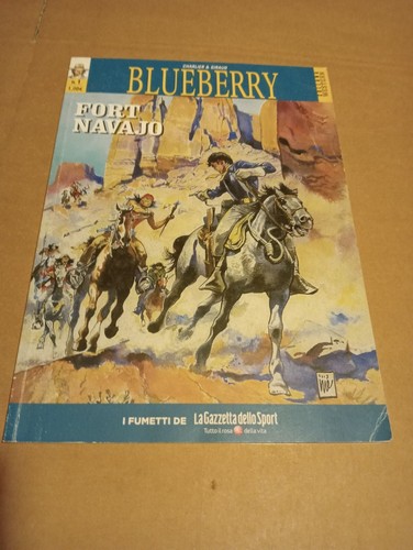 Blueberry fort navajo - fort,