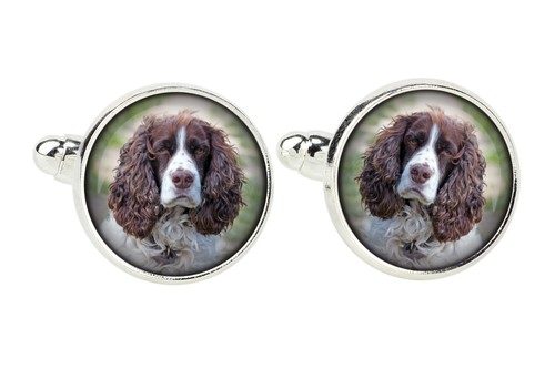 Springer spaniel inglese - springer,