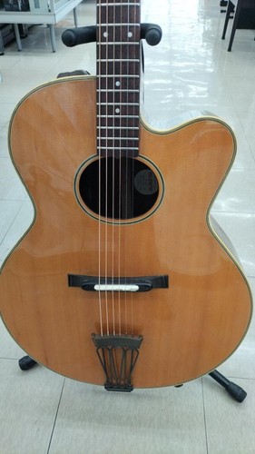 Chitarra elettrica acustica
