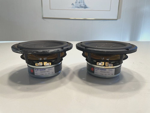Coppia woofer scan speak - woofer, scan-speak
