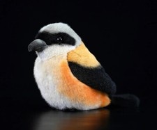 Peluche shrike bird - 6, pollici
